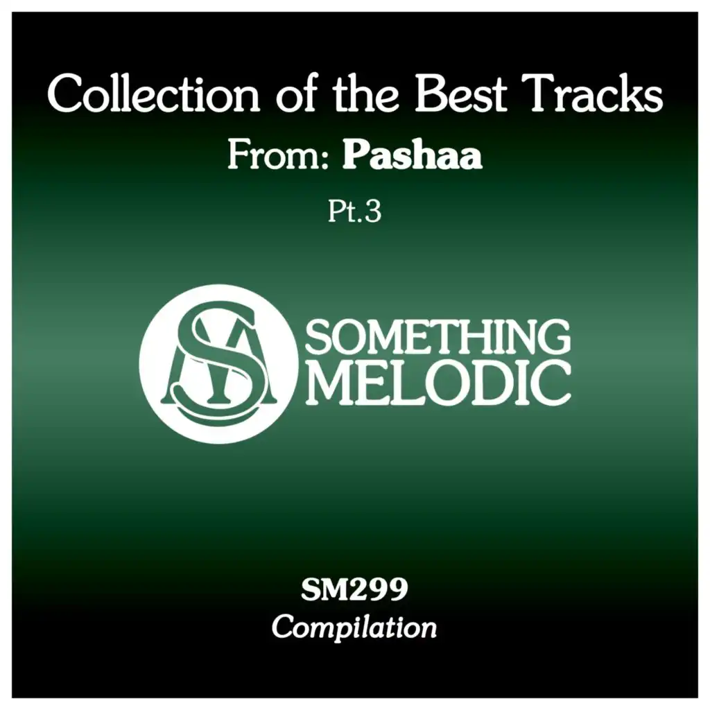 Collection of the Best Tracks From: Pashaa, Pt. 3