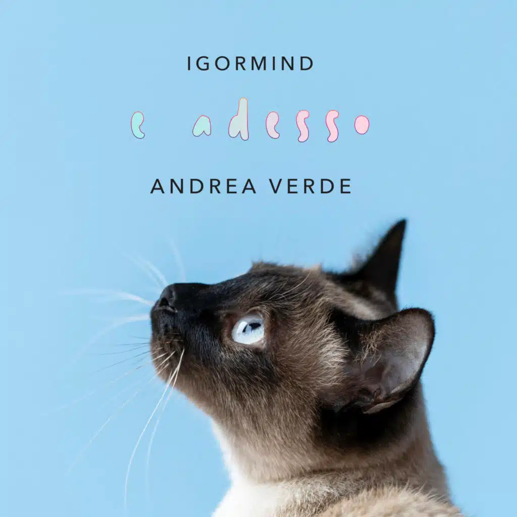 IgorMind & Andrea Verde