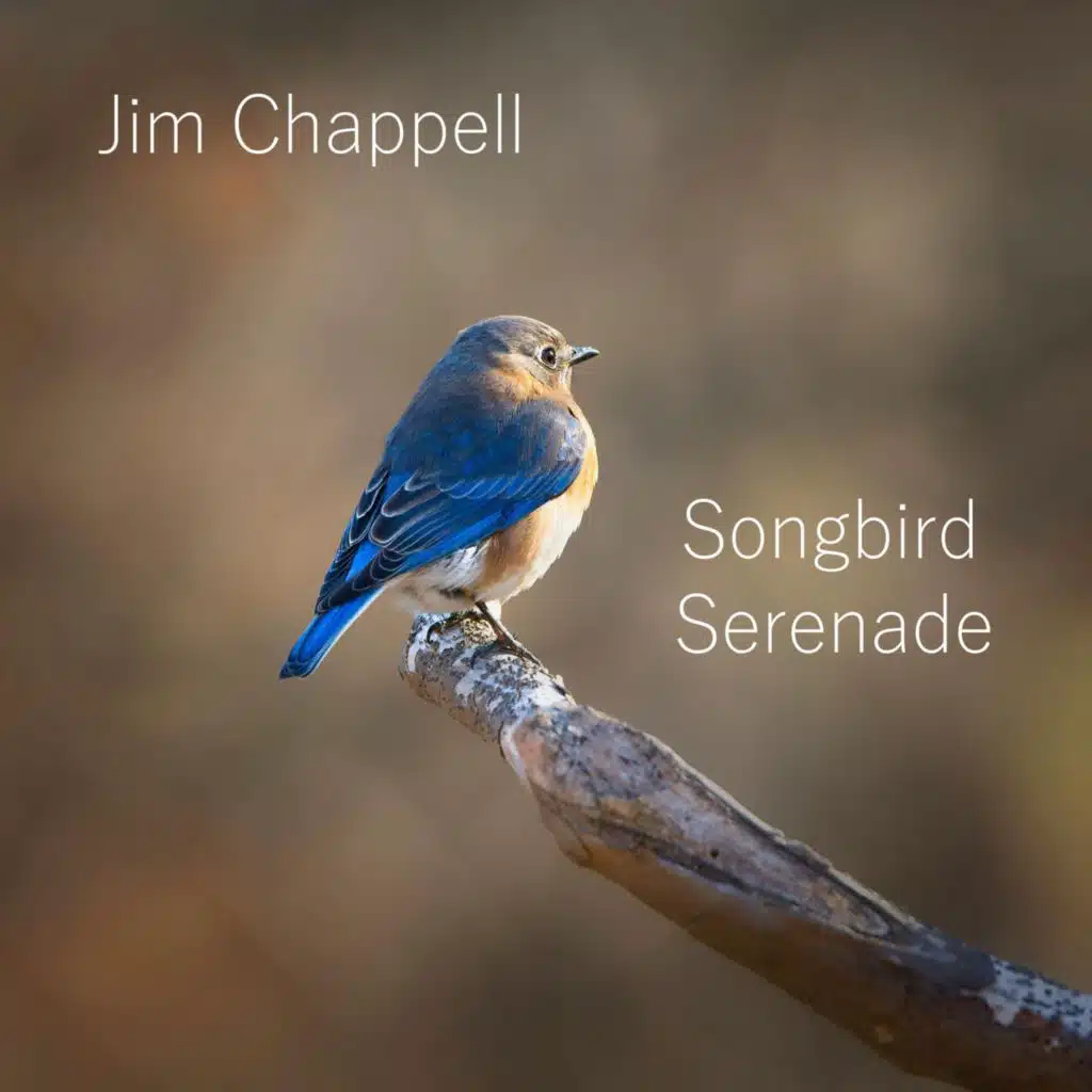 Songbird Serenade
