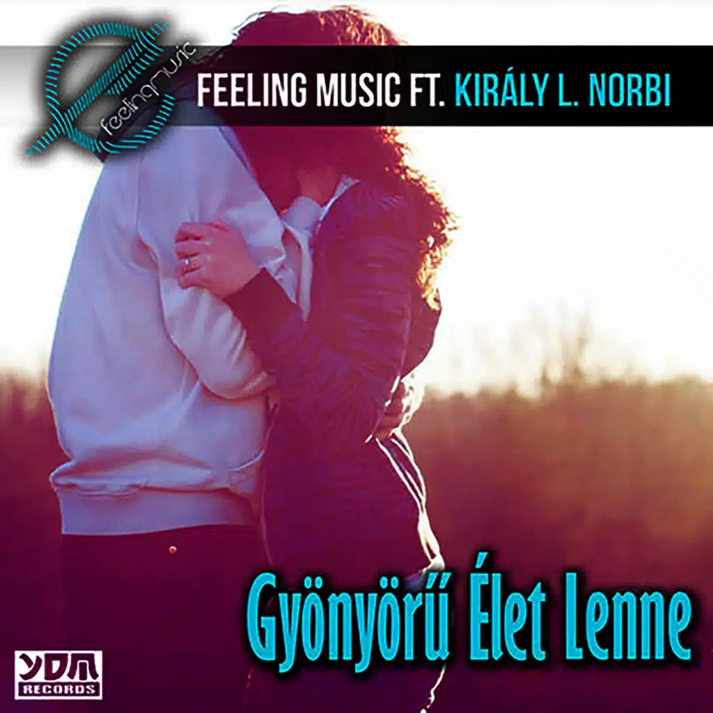 Gyönyörű Élet Lenne (Radio) [feat. Király L. Norbi]