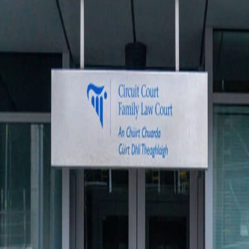 Solicitor Advice Series – Custody in Family Law