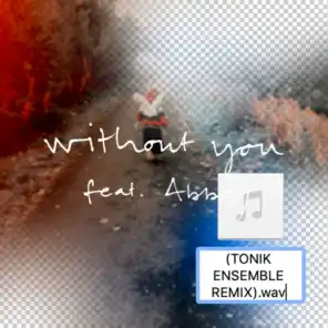 Without You (Tonik Ensemble Remix) [feat. Abbey]