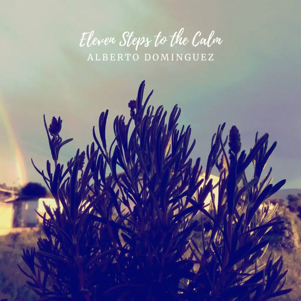 Eleven Steps to the Calm