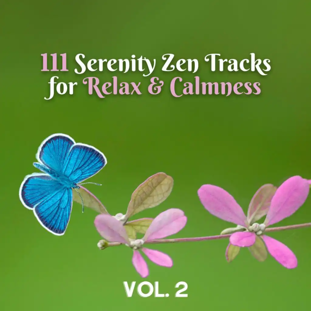 111 Serenity Zen Tracks for Relax & Calmness Vol. 2: Piano, Flute, Nature Music for Meditation, Spa, Massage, Study, Sleep