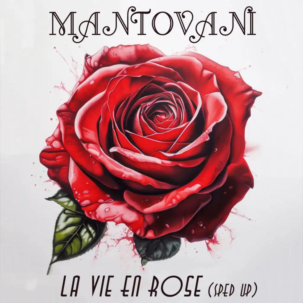 La Vie En Rose (Slowed + Reverb)