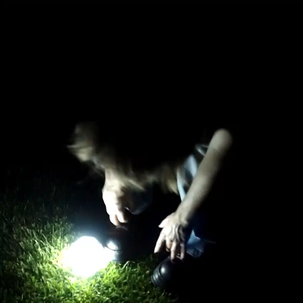 Sary & загублена лолі