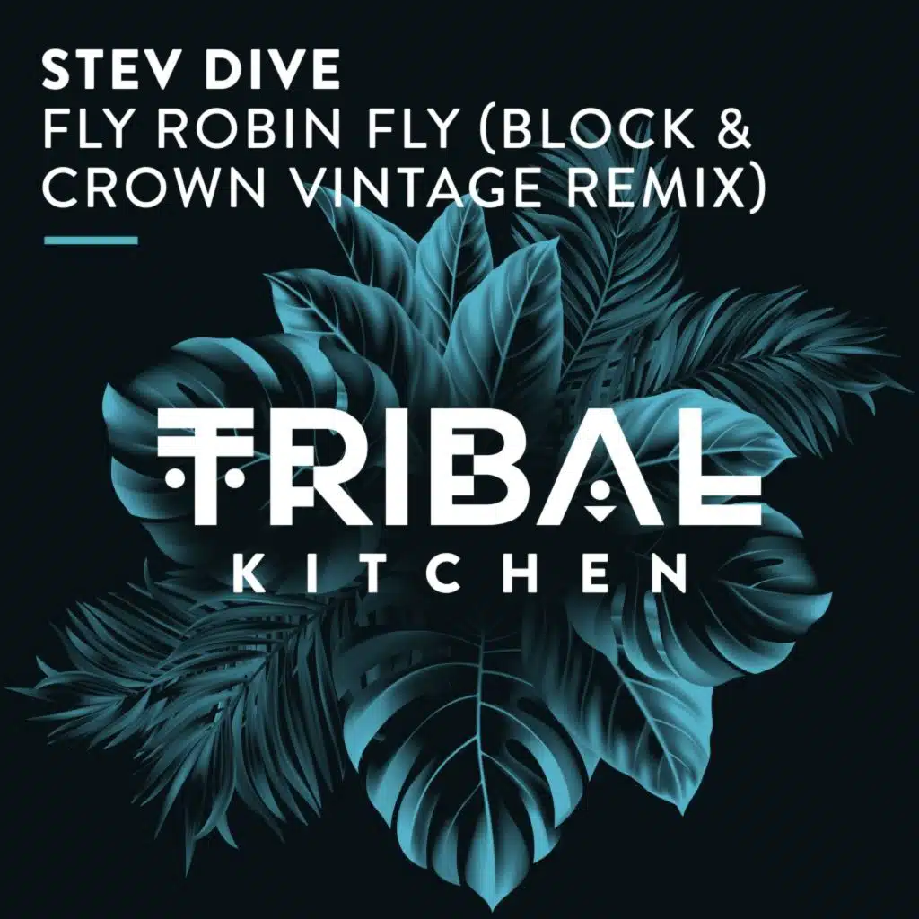 Fly Robin Fly (Block & Crown Vintage Extended Remix)
