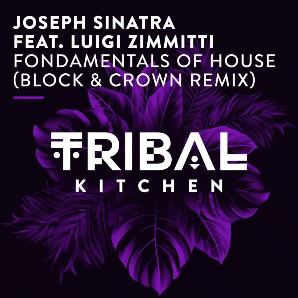 Fondamentals of House (Block & Crown Remix) [feat. Luigi Zimmitti]