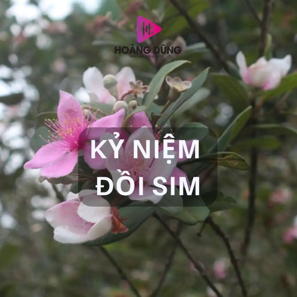 Tình Yêu Mây Khói