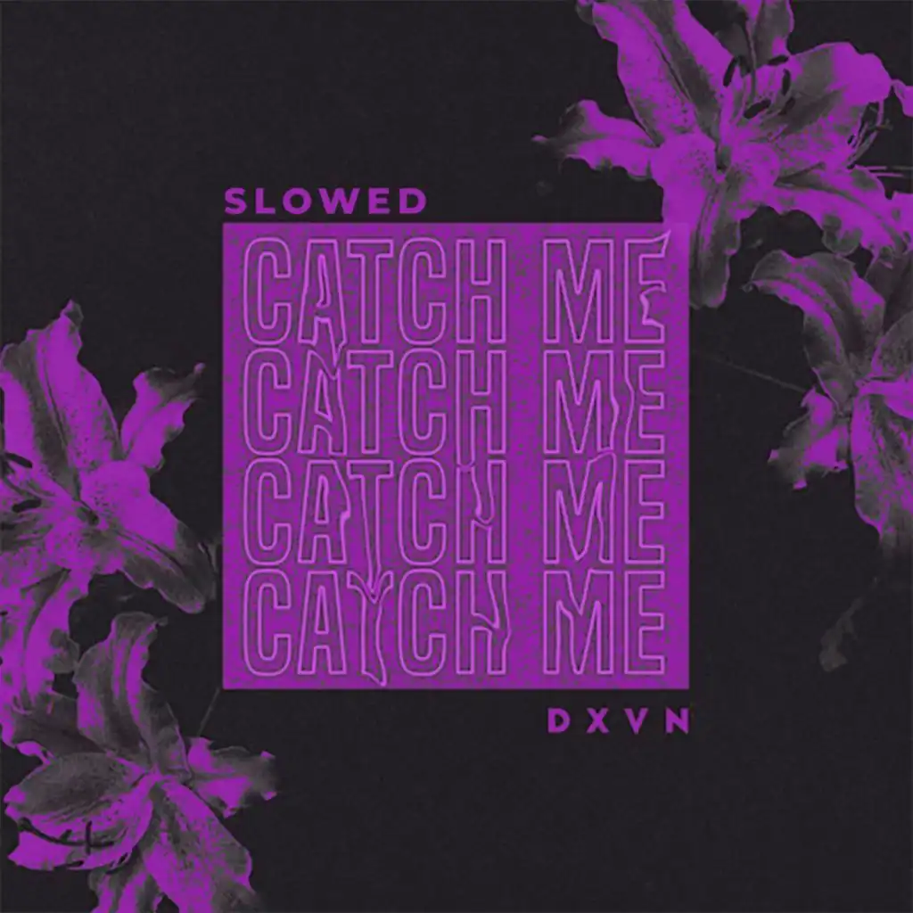 Catch Me (Slowed + Reverb)