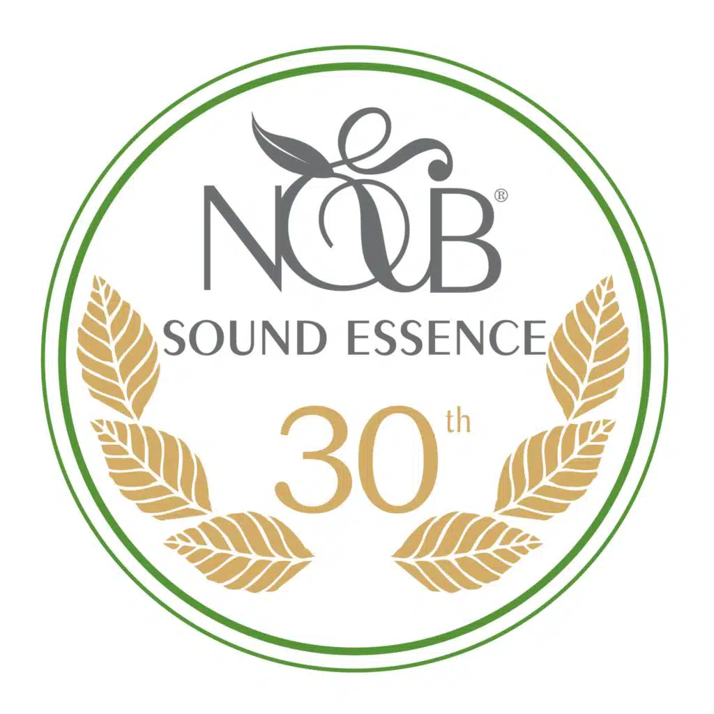 Sound Essence 30TH