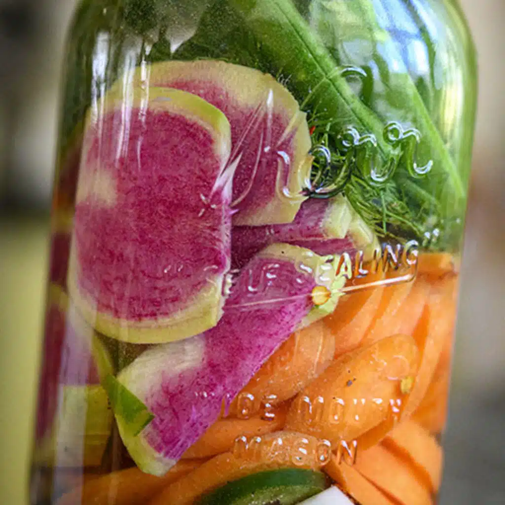 A gutsy talk about fermented food. Plus, big plans for Small State