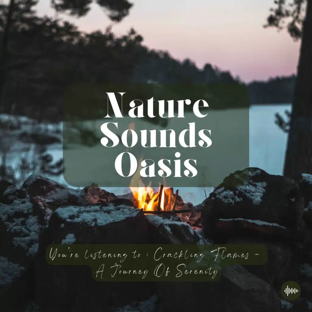 1 Hour Of Peaceful Fire Burning & Crackling On A Cozy Night | Nature Sounds For Sleep, Meditation, Relaxation Or Focus | Fire Sounds, Sleeping Sounds,...