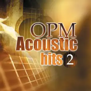 Opm Acoustic Hits, Vol. 2