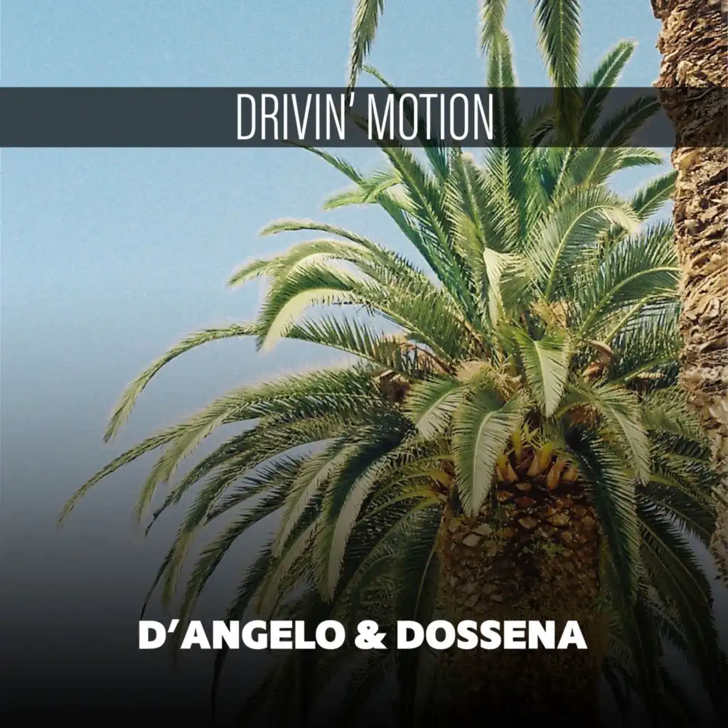 D'Angelo & Dossena