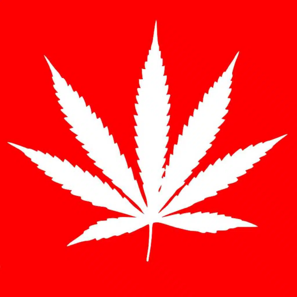 Marijuana