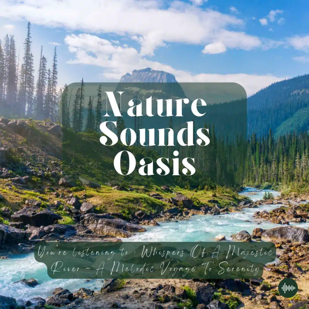 1 Hour Of Deeply Relaxing Music & A Peaceful River Flowing For Sleep, Meditation, Relaxation Or Focus | Nature Sounds, Sleep Sounds, Spa Music, Study ...