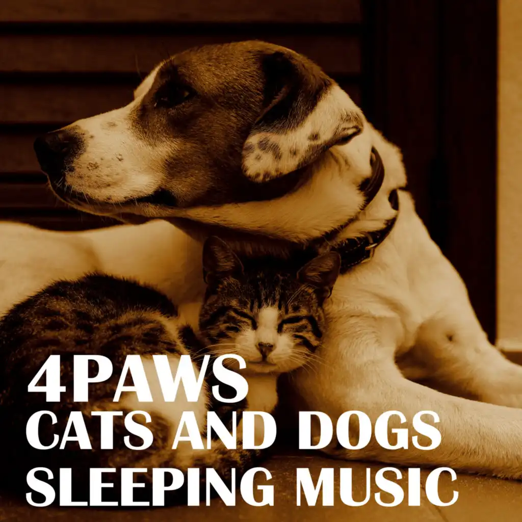 Cats Napping Music