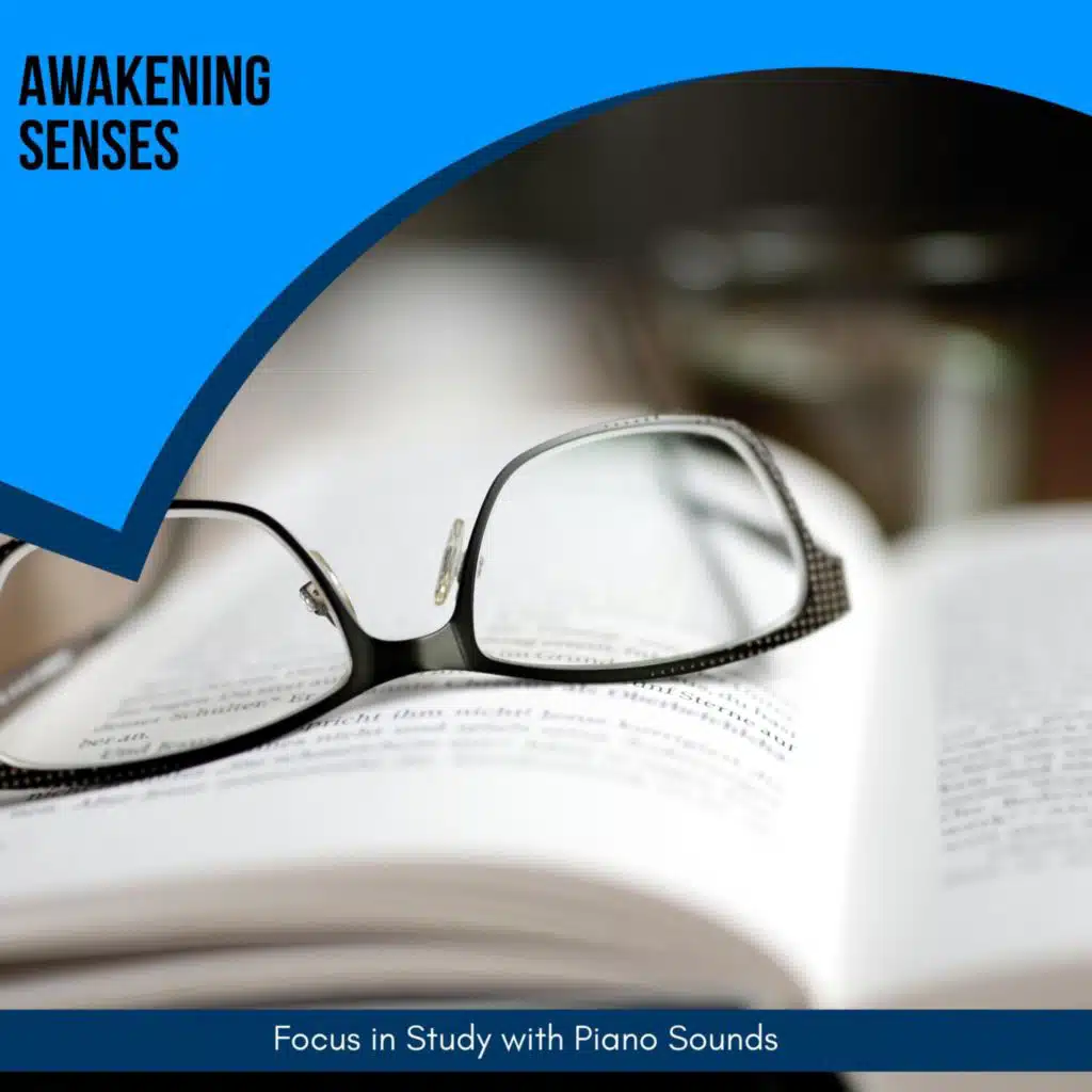 Awakening Senses - Focus in Study with Piano Sounds