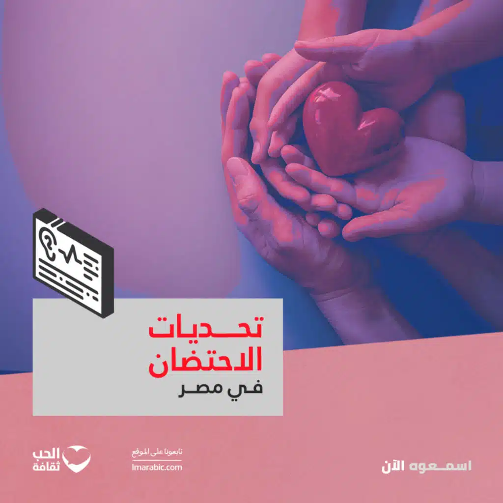 تحديات الاحتضان في مصر