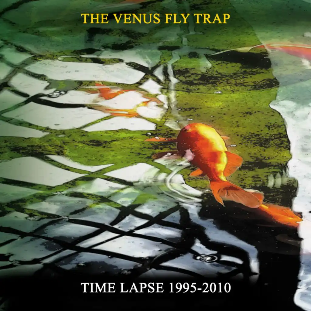 The Venus Fly Trap