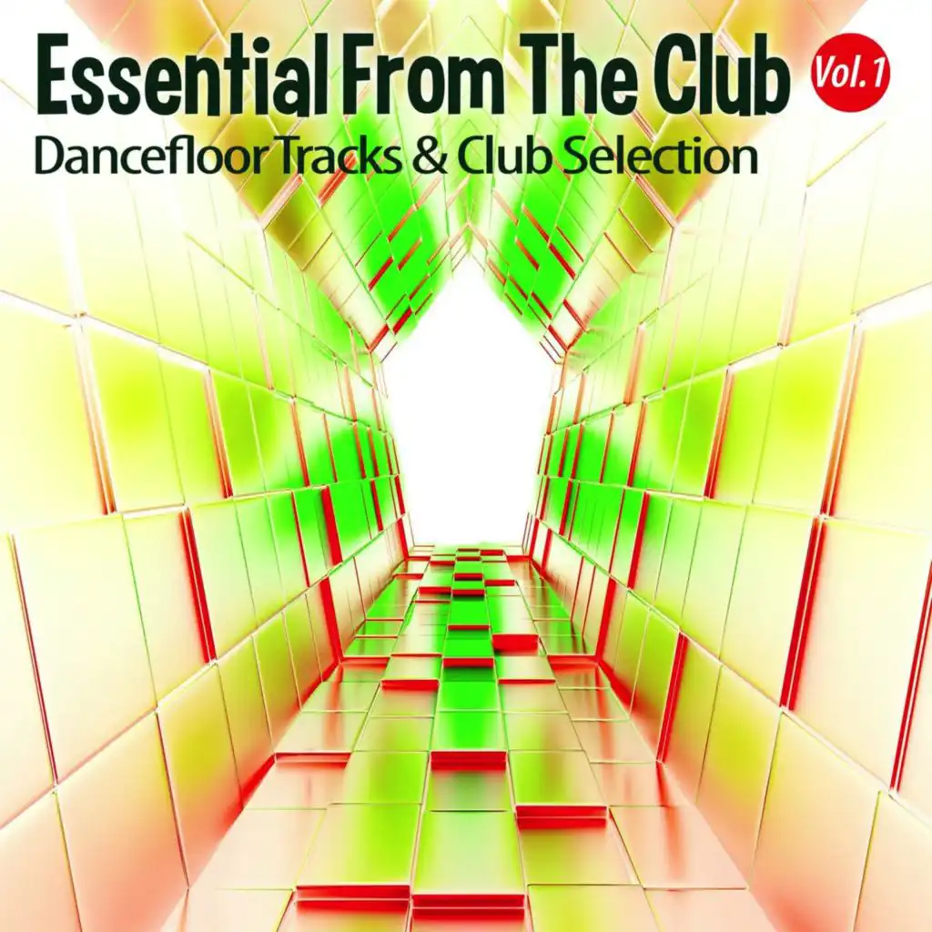 Essential from the Club, Vol. 1 - Dancefloor S & Club Selection