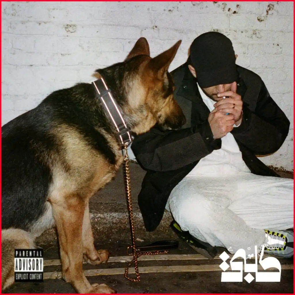 كلبي
