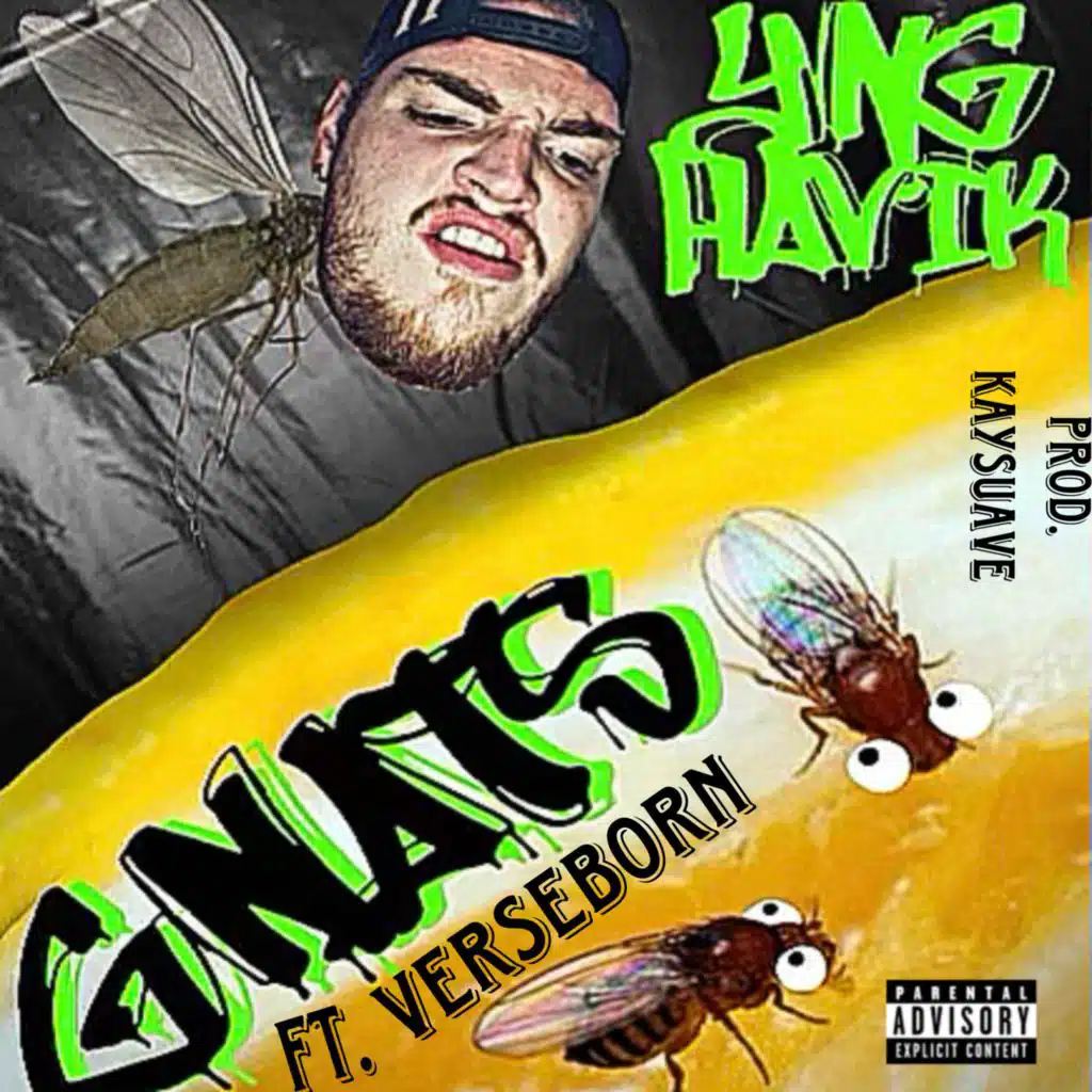 GNATS (feat. VerseBorn)