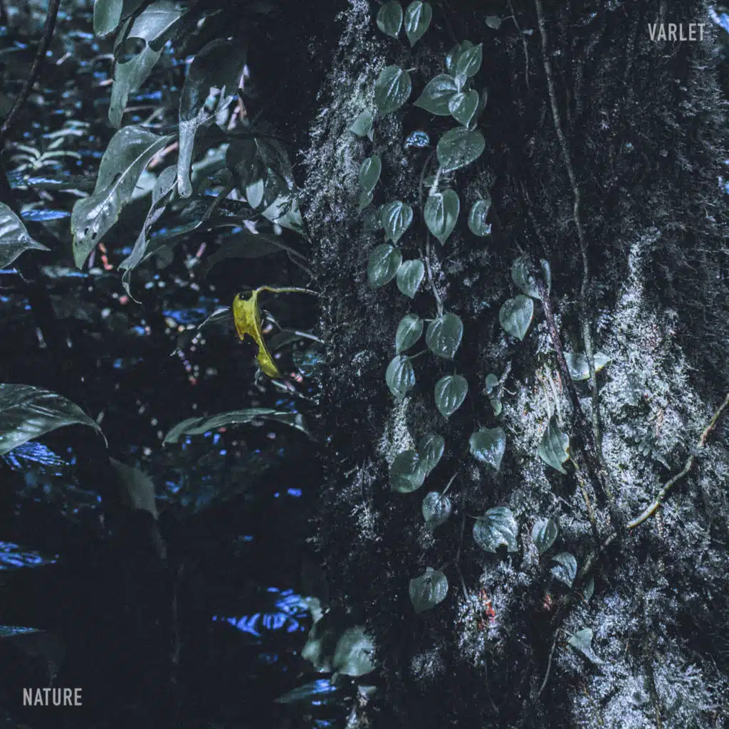 Memories (feat. Wave)