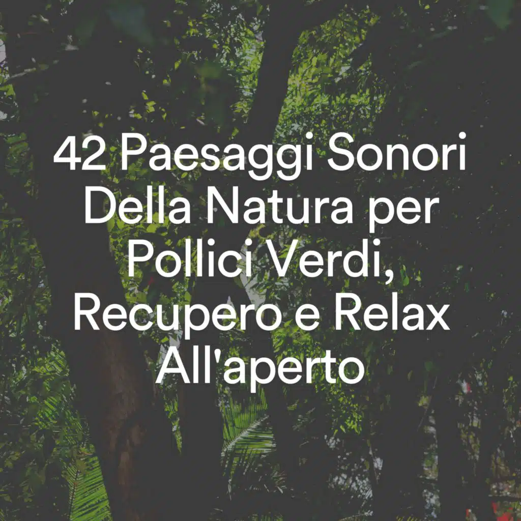 Pioggia Giardino & Pioggia rilassante