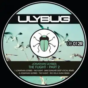 The Flight (Rio Dela Duna Remix)