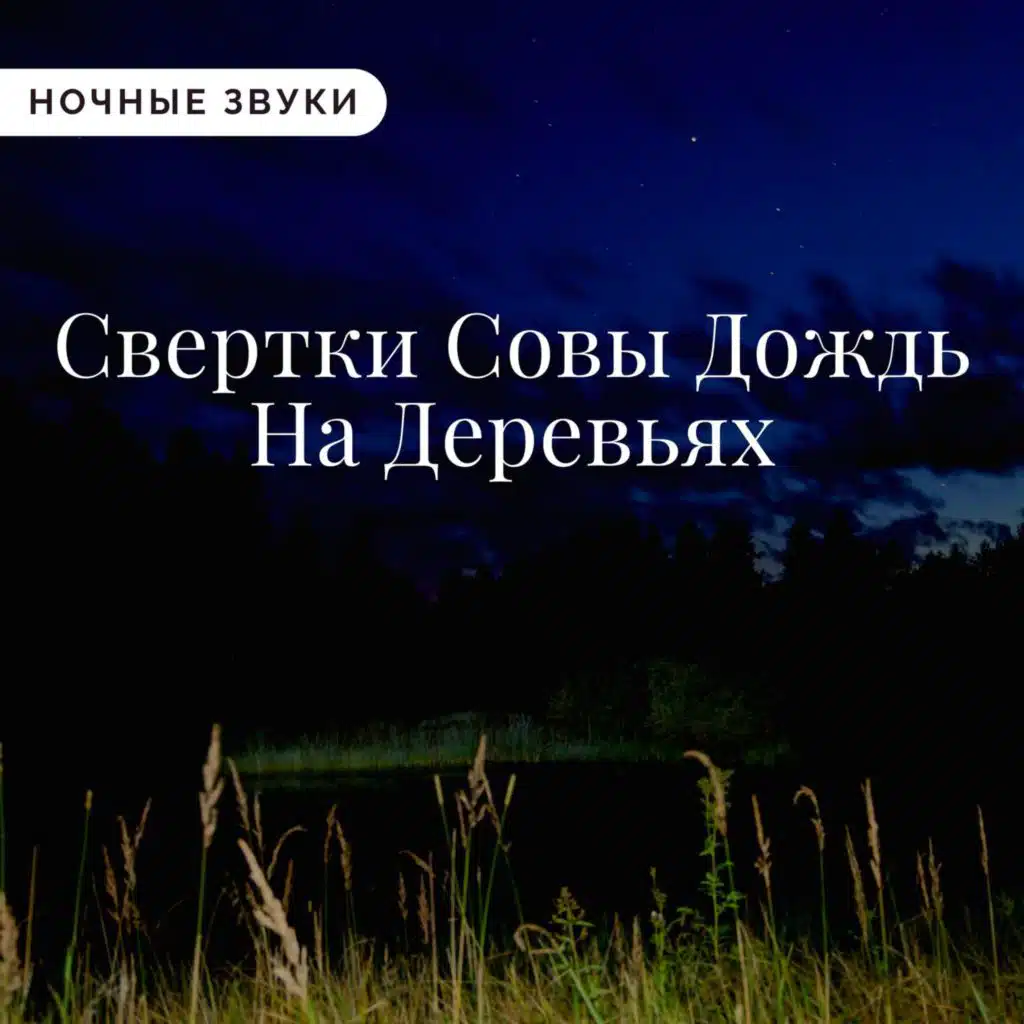 записывать ночные звуки