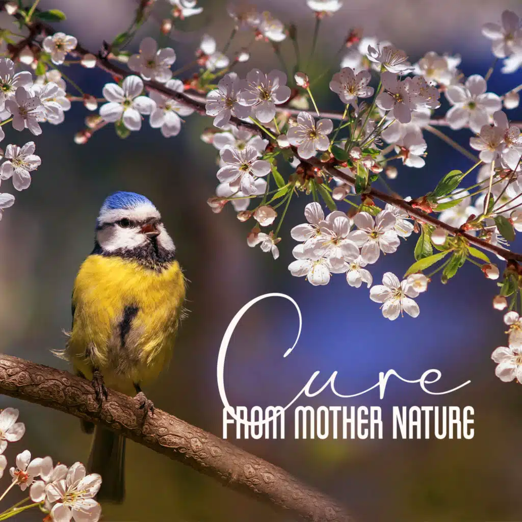 Cure from Mother Nature: Birdsongs for Stress Relief