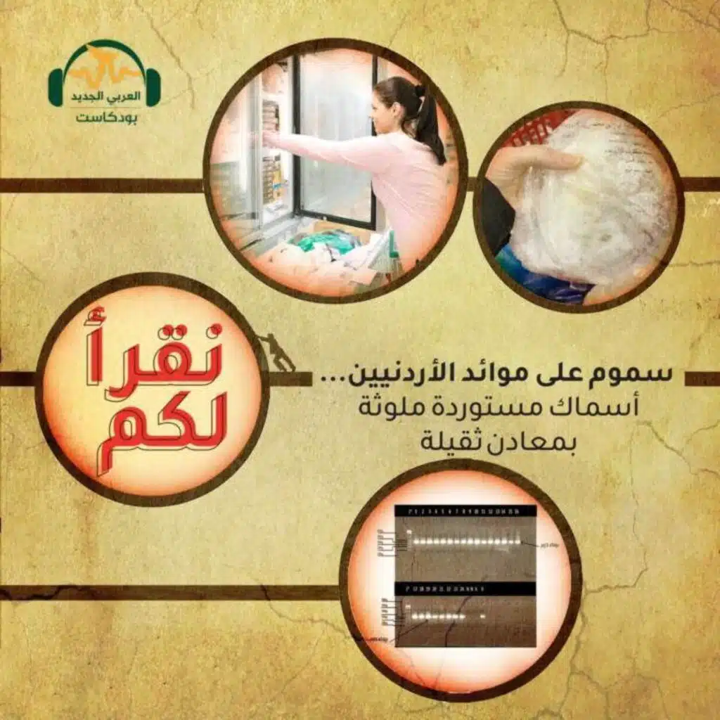 سموم على موائد الأردنيين... أسماك مستوردة ملوثة بمعادن ثقيلة