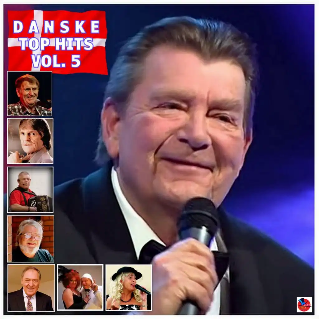 Danske Top Hits Vol. 5
