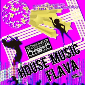 House Music Flava, Vol. 2