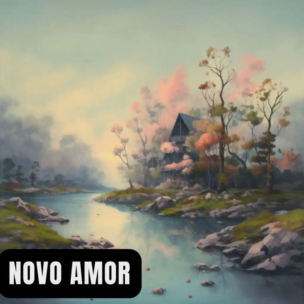 Novo Amor