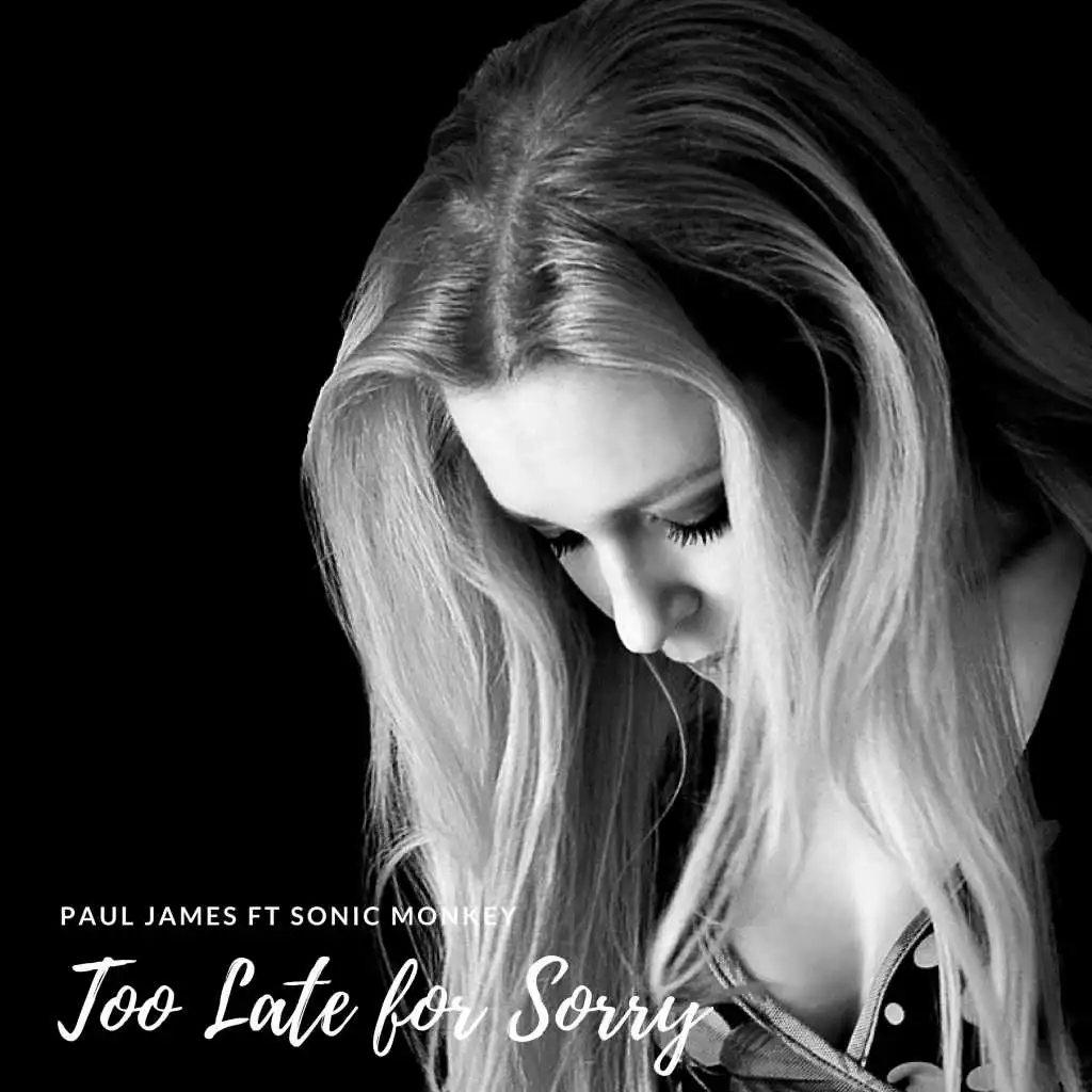 Too Late for Sorry (Six inch heels remix edit) [feat. Sonic Monkey]