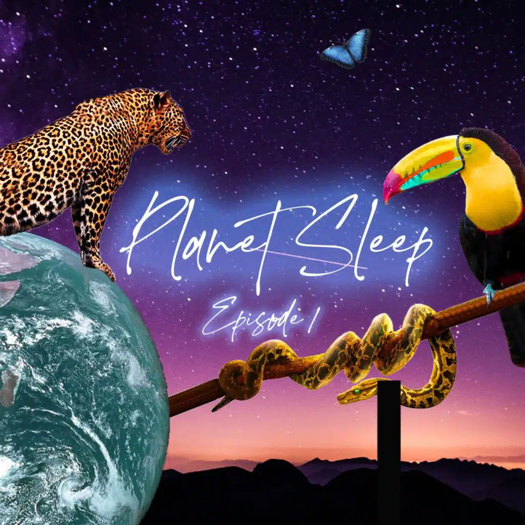 2: The Magical Amazon Rainforest