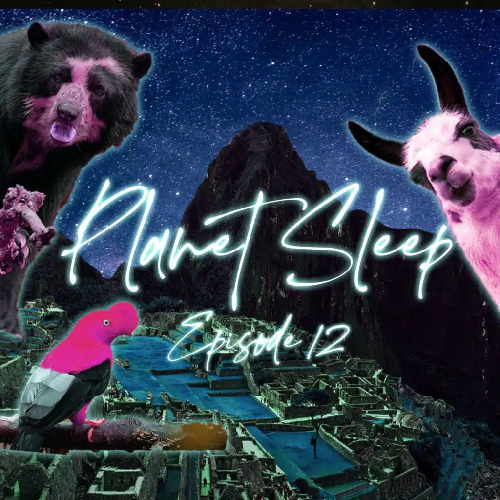 13: A Relaxing Night Hike To Machu Picchu