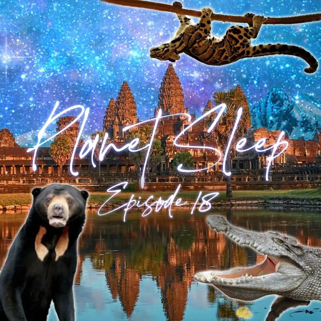 19: Cozy Night In Cambodia