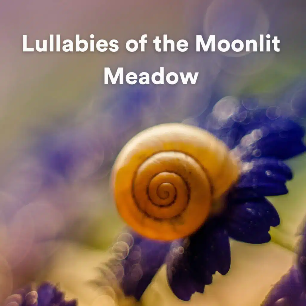 Calm Piano, Study Piano Relaxation & Musique de Piano de Détente
