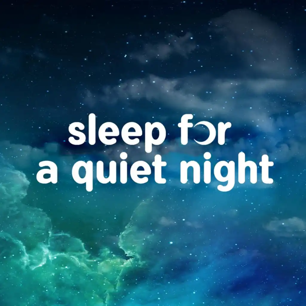 sleep for a quiet night