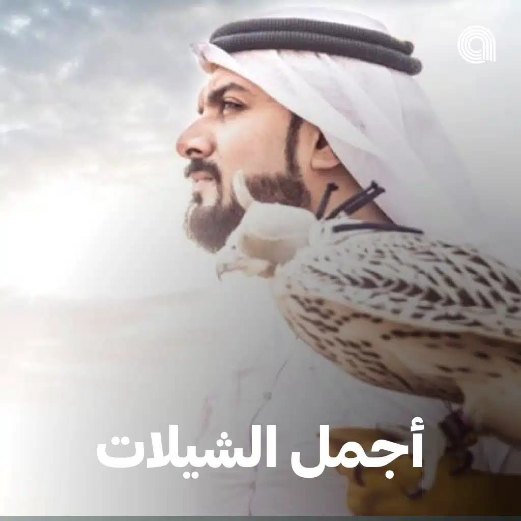 أجمل الشيلات