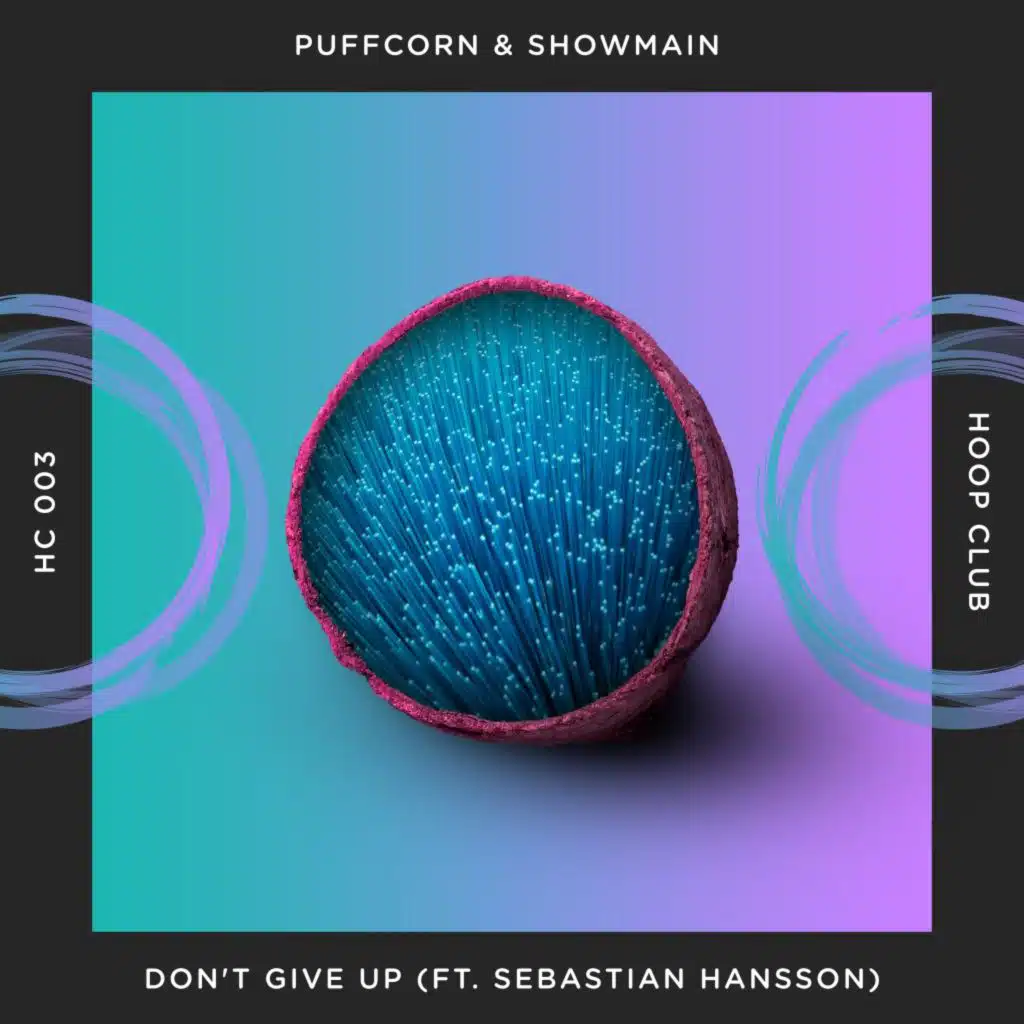Don't Give Up (feat. Sebastian Hansson)