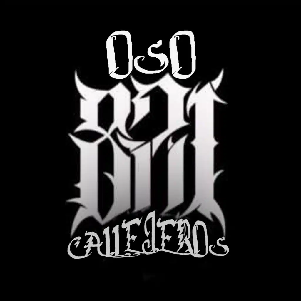 CALLEJEROS