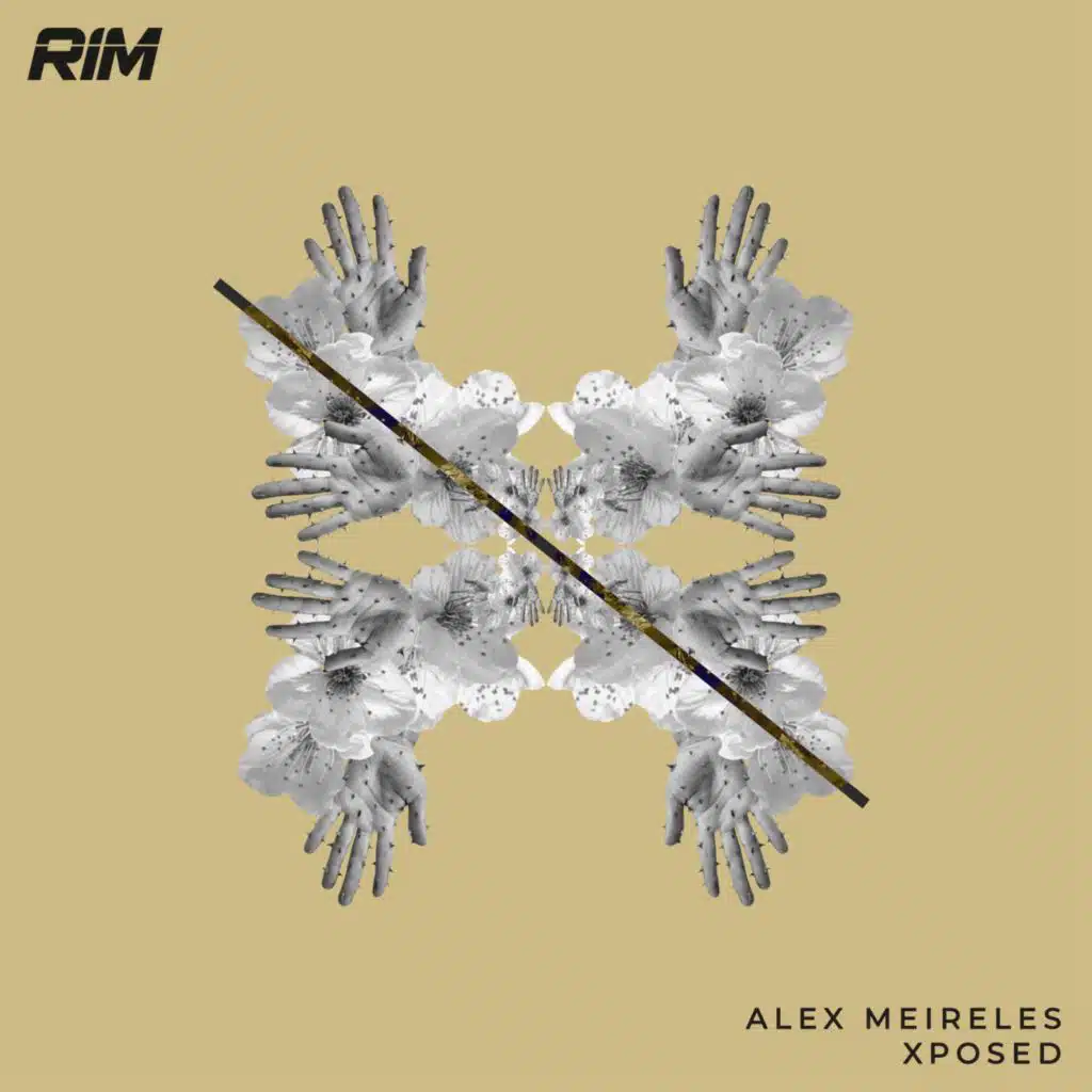 Alex Meireles