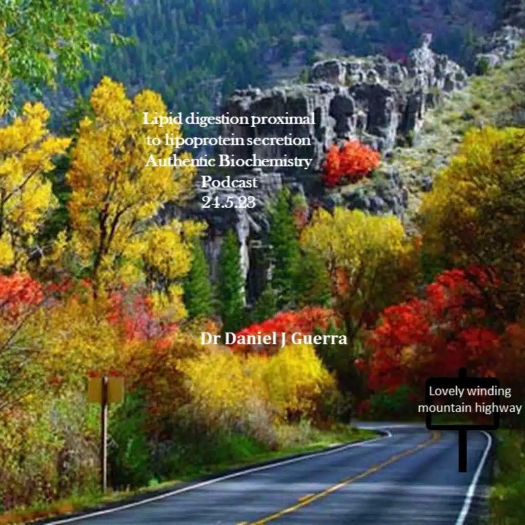 Graduate Biochemistry Lecture.II. Lipid digestion and enterocyte localized neuroendocrine secretion proximal to chylomicron assembly.Dr Daniel J. Guerra. Authentic Biochemistry Podcast 19.5.23.