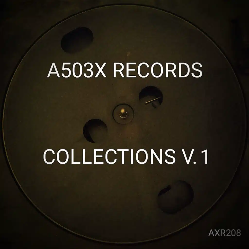 A503X RECORDS COLLECTIONS V.1