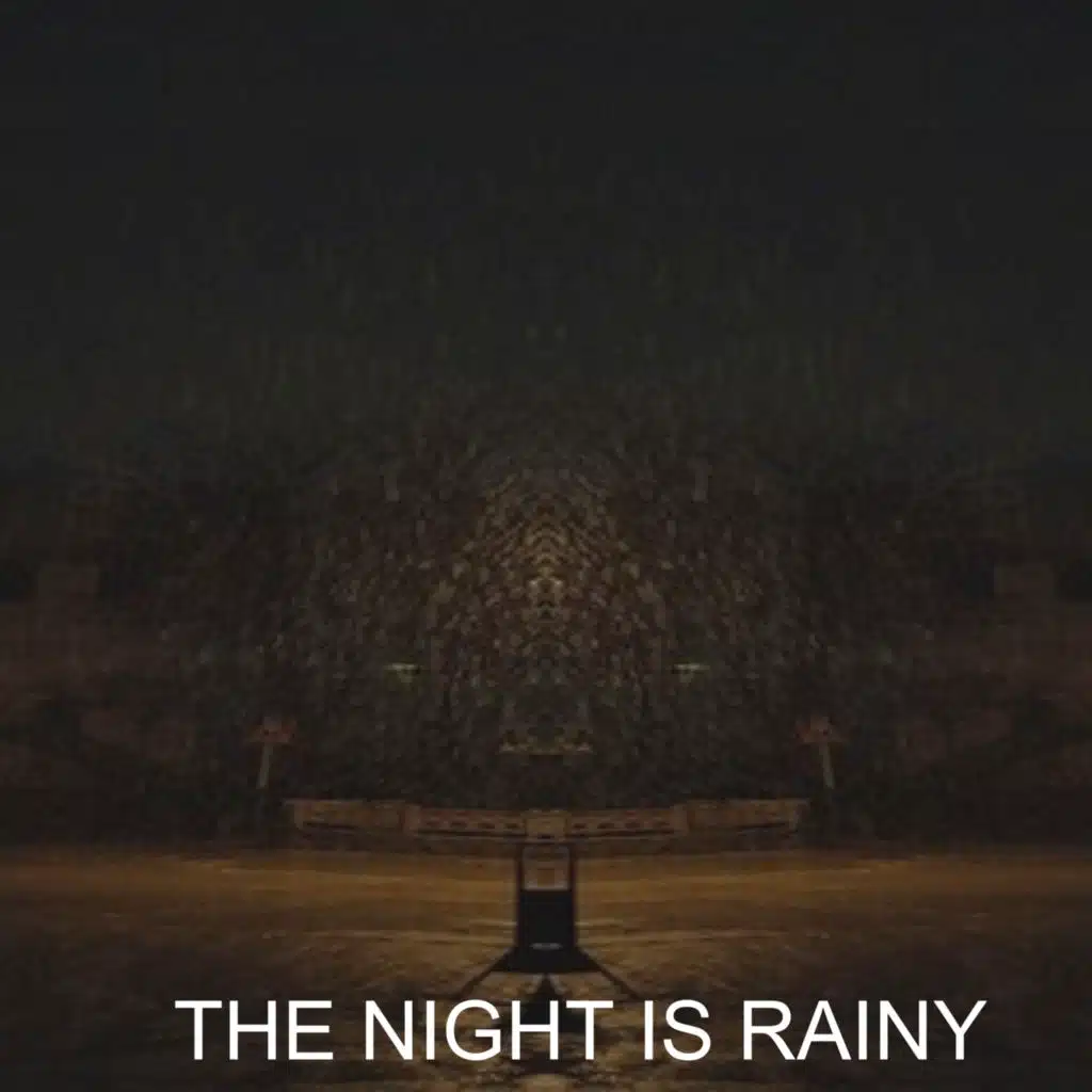 THE NIGHT IS RAINY